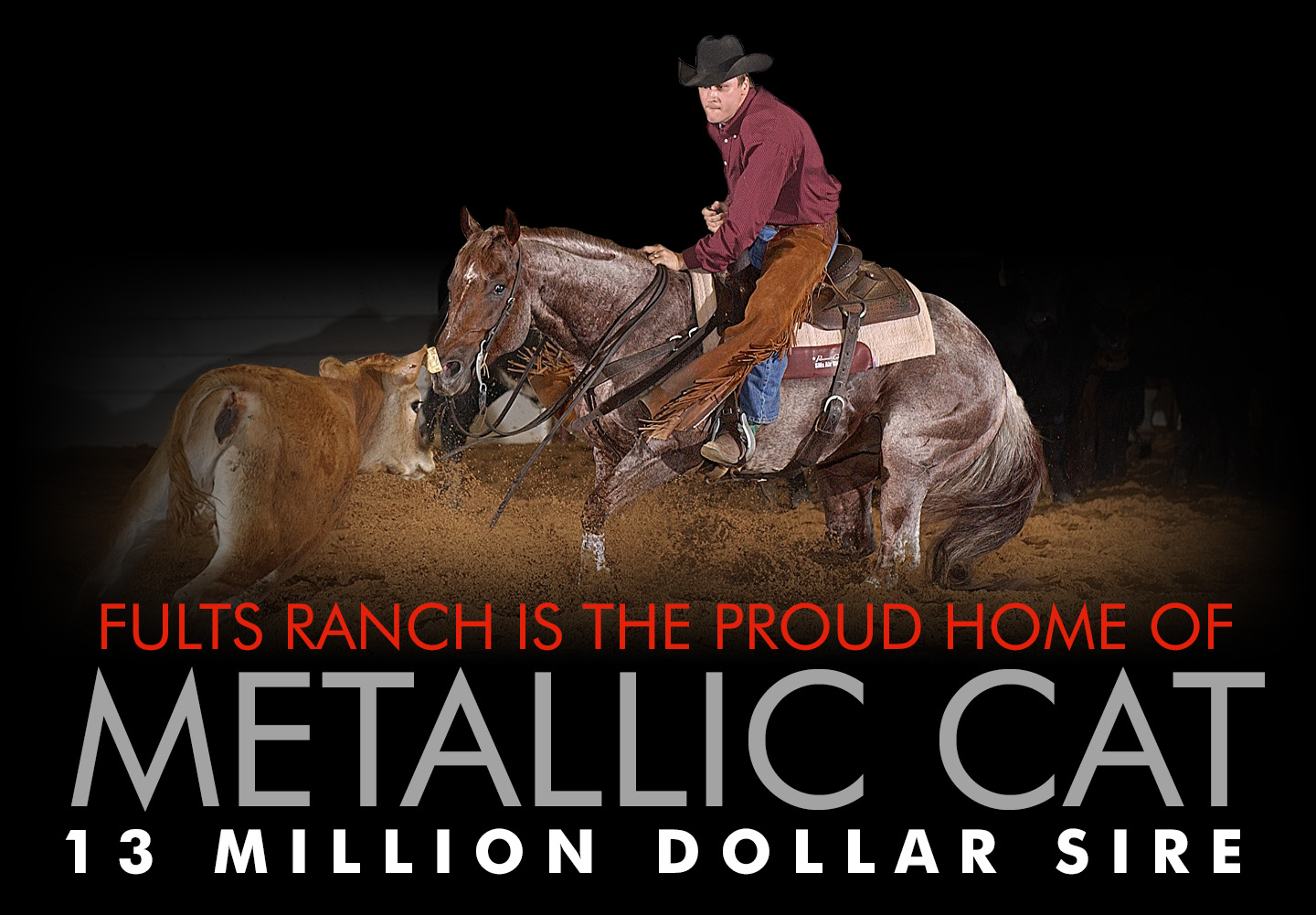 Fults Ranch home of Metallic Cat