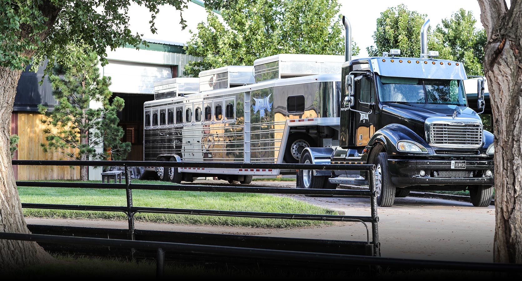 Fults Ranch home of Metallic Cat