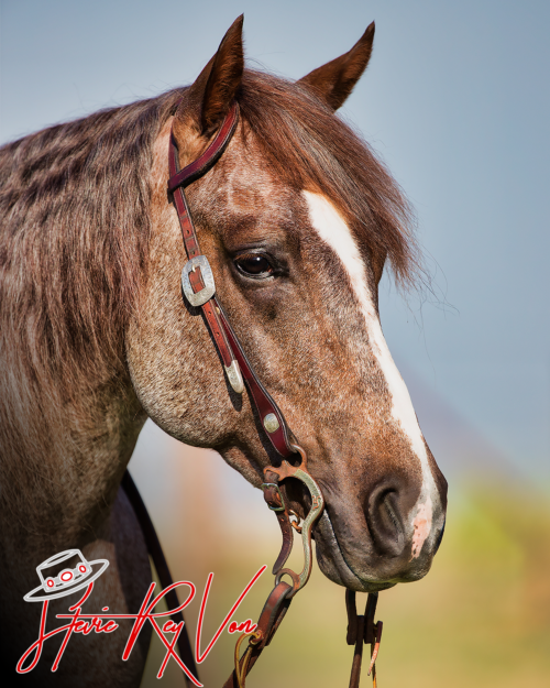 Stevie Rey Von Head Shot Stevie Rey Von Head Shot